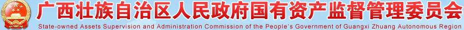 廣西壯族自治區(qū)人民政府國(guó)有資產(chǎn)監(jiān)督管理委員會(huì)